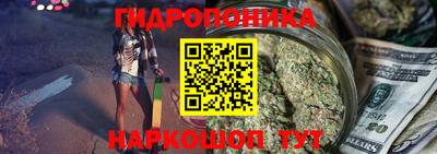 гашик Малгобек
